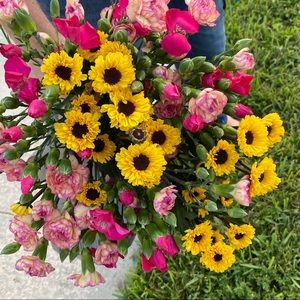 Meet your Posher, Chaya